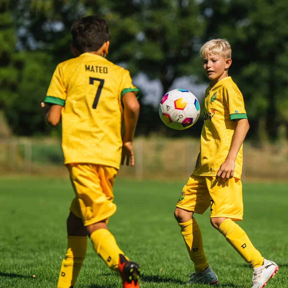Two children in yellow soccer jerseys and shorts are playing on a green soccer field.